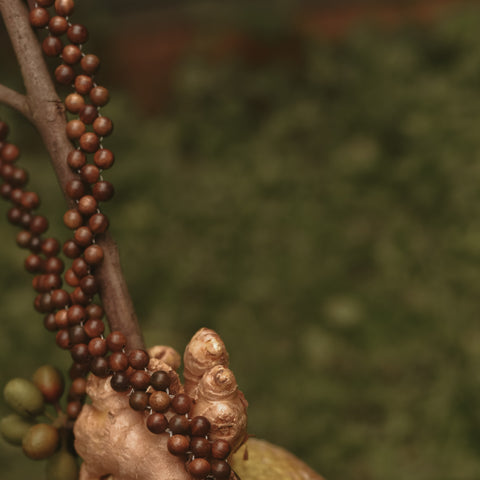 Cukup Collection Launch (28th February 2025)